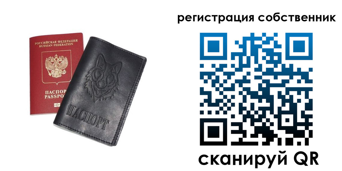 купить прописку в Далматово